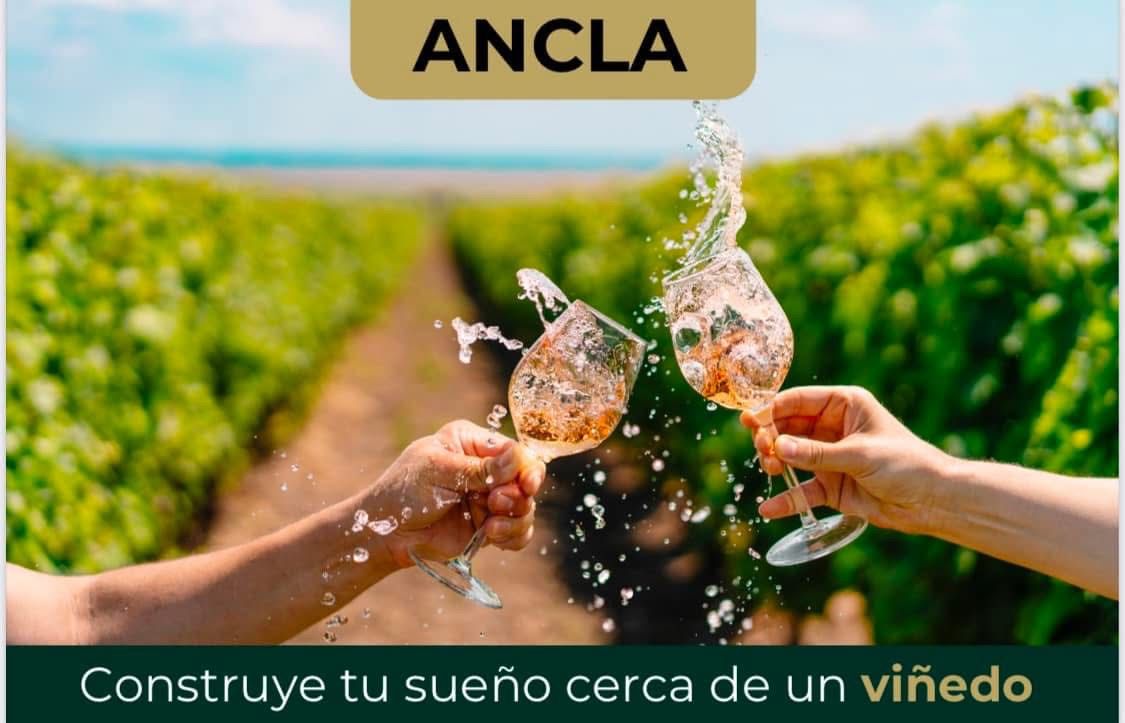 3d5c0a8c-2e8c-4e8f-a4e8-ea52bccc934b