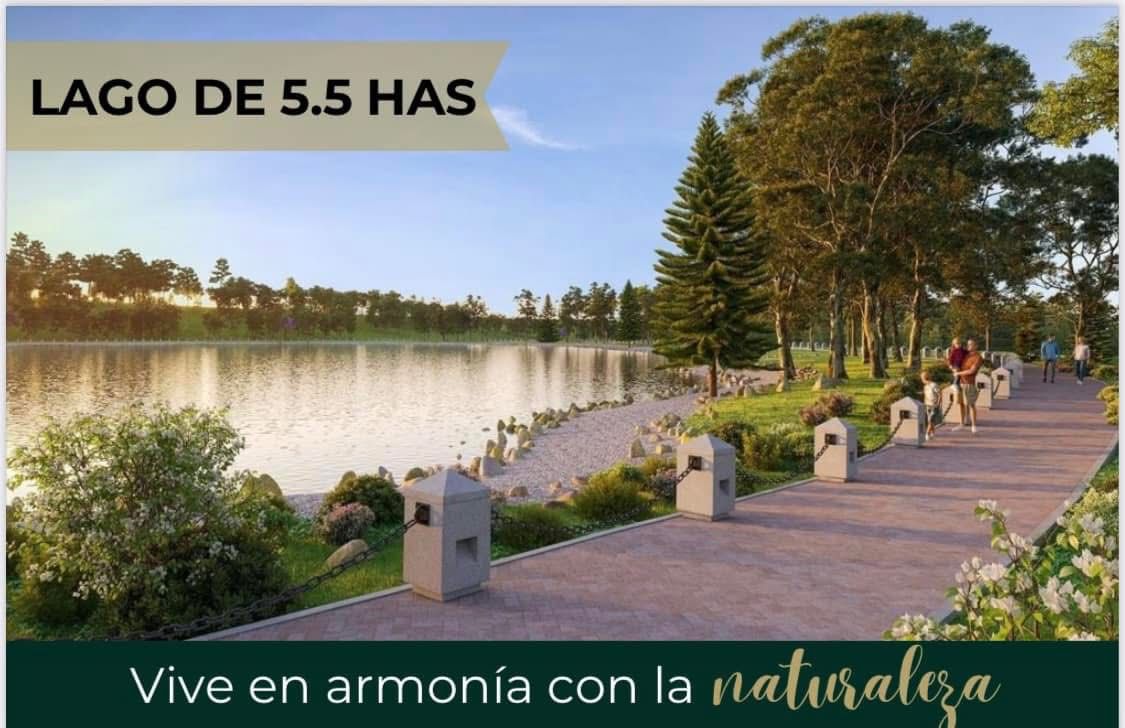 51ab0e1c-74f3-4488-9827-7354f0a7c804